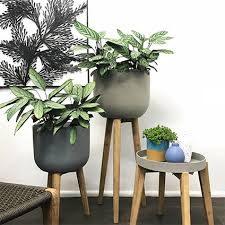 Check spelling or type a new query. Indoor Plants Our Top Picks With Pots To Match Flower Power