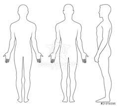 Front and back view of a human skeleton. 8 Forms Ideas Body Outline Human Body Body Diagram