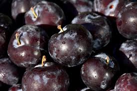 Cherry plums have the perfect amount of cherry tartness and mellow sweetness from plums for a craveable summer treat. Blackice Cherry Plum Prunus Lydecker In Red Wing Lake City Goodhue Maiden Rock Ellsworth Minnesota Mn At Sargent S Nursery