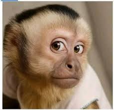 Current World Cup is the greatest of all time