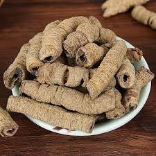 Image result for Morinda angolensis