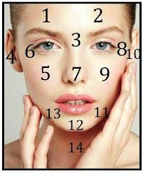Face Mapping For Acne The Ultimate Guide Face Mapping Acne Face Acne Face Mapping