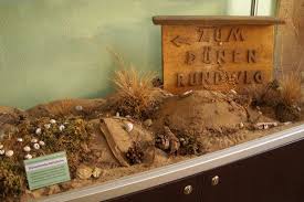 In sandhausen ist das öffentliche bewußstsein für diesen einzigartigen naturschatz bei kommunalpolitikern und der. Heimatmuseum Sandhausen Raum 2 Die Dunen Lebensraum Natur Und Waldlandschaft Leimen Lokal Leimen Lokal