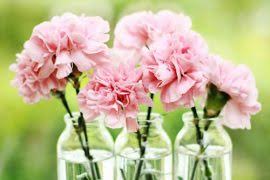 Whole foods wedding flowers reddit. The Best Deal On Whole Foods Wedding Flowers