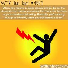 Fun Fact Dumpero Wtf Fun Facts Fun Facts Funny Facts