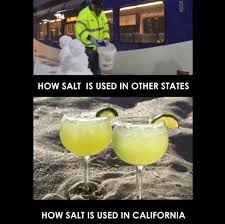 How Salt Is Used In California National Margarita Day Coupe Glass Drinking Humor