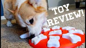 Nina ottosson dog puzzle reviews. Toy Review Nina Ottosson Dog Smart Beginner Dog Puzzle Toy Youtube