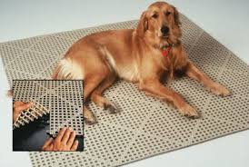 9 Best Dog Kennel Floorings Keeping Your Pets Safe Size Them Up