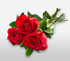 We did not find results for: Elegant Romance United States Flowers And Gifts Send Flowers Worldwide