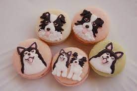 how do they do it how how how shakes fist at sky macarons cute food macaroons