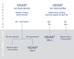 2 the time between potential hiv exposure and an accurate test result is referred to as the window period. Vidas Hiv Panel Biomerieux Deutschland
