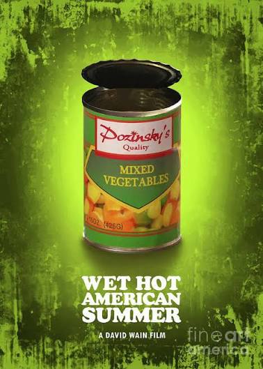Wet Hot American Summer Poster
