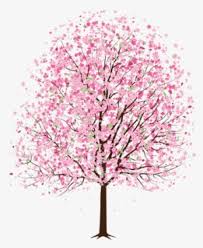 Outline the undetailed shapes of blossom and the branch. Simple Cherry Blossom Tree Drawing Transparent Png 947x1068 Free Download On Nicepng