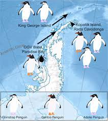 Tried, tested, trusted and affordable for all qpcr needs. Sustained Rna Virome Diversity In Antarctic Penguins And Their Ticks The Isme Journal