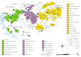 Wine Of The Week 050 Franciya Vino