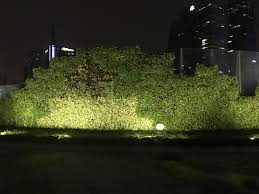 Flood Lighting Led Flood Light Perfectly Used For Landscape Lighting From Brosintl Brosled Com Landscape Lighting Led Lights Led Flood Lights
