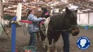 Horse Play With A Purpose For Child With Down Syndrome Youtube