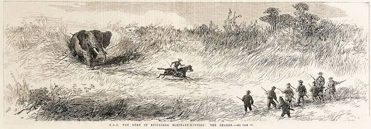 H.R.H. The Duke of Edinburgh elephant-hunting: the charge. | Antique Print Map Room