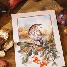 Victoria Magazine Victoriamagazine Instagram Photos And Videos Victoria Magazine Art Artist