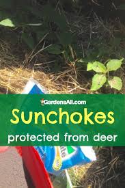 If you take a minute to understand milo's composition versus say lesco you'll see that milo gives a lot more iron than lesco. 13 Best Deer Repellents To Keep Deer Out Of The Garden Gardensall