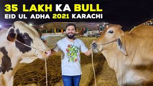 It is religion festival in the world. Eid Ul Adha 2021 In Karachi Preparations Youtube