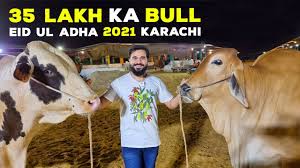 Jahidul islam april 2, 2021. Eid Ul Adha 2021 In Karachi Preparations Youtube