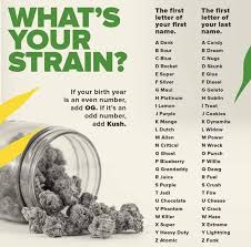 Gene networks underlying cannabinoid and . Cartoons Weed Cartoons Weed Added A New Photo