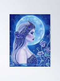 Image result for Salacia