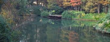There is a short story based on the author's experience that relates to the topic in the chapter. The 15 Best Quiet Places In Shanghai