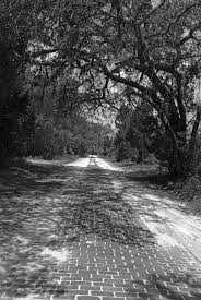 Old Brick Road That Used To Be A Par Of The Old Dixie Highway In Fl Florida Florida Living Old Florida