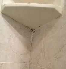 Water runs frequently in bathrooms, making it moist and humid, an environment that allows mold to thrive. Cleaning Black Mold In The Shower