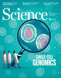 Davide Bonazzi S Cover Illustration For Science Magazine Accompanied A Feature About Single Cell Genomics Sc Science Magazine Science Illustration Book Design