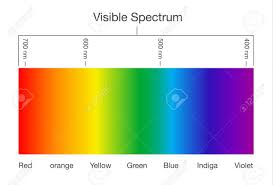 Chart Of Visible Spectrum Color Illustration About Human Vision