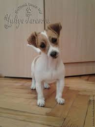 dzhek rassel terer zakazat na yarmarke masterov nx6pru myagkie igrushki zaporozhe felt dogs needle felted dog needle felted animals