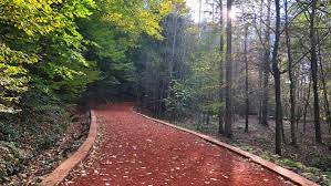 Belgrad ormanı otomobil giriş ücreti 12 tl (haftasonu) ve 5 tl (haftaiçi) olarak belirlenmiş. Belgrad Ormani Nerede Nasil Gidilir Yeme Icme Biz Evde Yokuz