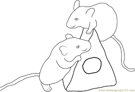 Here are fun free printable mouse coloring pages for children. Two Mouse Coloring Page For Kids Free Mouse Printable Coloring Pages Online For Kids Coloringpages101 Com Coloring Pages For Kids