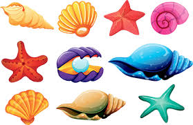 She Sells Seashells - Tongue Twister She Sells Seashells