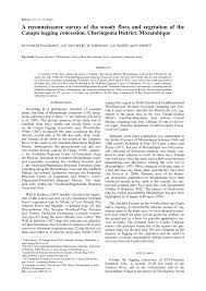 Image result for Cordia torrei