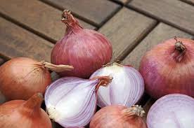 Bawang merah dalam bahasa inggris. Berita Populer Cara Menanam Bawang Merah Menggunakan Pot Hingga Penyebab Terjadinya Gerhana Matahari Cincin Semua Halaman Bobo