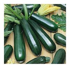 Check spelling or type a new query. How To Grow Zucchini From Seed To Harvest Homestead Acres