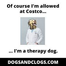 Are Dogs Allowed In Costco Costco Dog Policy Explained