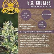 Cannabis grow journals, strain reviews by home growers, harvests and trip reports. Humboldt Seed Company Girl Scout Cookies 20 Regular Seeds Hembra Genetics Collection