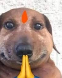 How do you feel about the remarks from the director of Kalki? : rkollywood