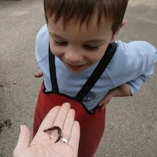 🌸👩‍🌾 Our green-fingered Pre-Schoolers have been busy brightening up  their playground with a spot of gardening. The children all helped mix the  fresh compost into the soil, then had a lovely time