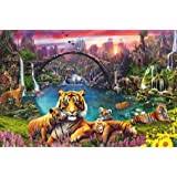 Maybe you would like to learn more about one of these? Amazon Com Ravensburger Oceanic Wonders 3000 Piece Jigsaw Puzzle For Adults Softclick Technology Means Pieces Fit Together Perfectly Varios Toys Games