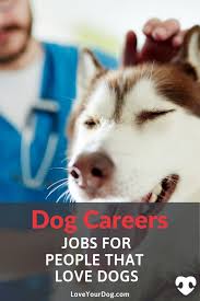 Dog Careers Best Jobs For People That Love Working With Dogs Dogs Dog Care Career