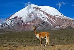 Provincia de Chimborazo - Wikipedia, la enciclopedia libre