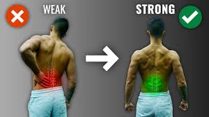 The muscles of the back can be divided in three main groups according to their anatomical position and function. How To Get A Strong Lower Back The Right Way 4 Must Do Exercises Youtube