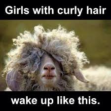 Curly Haired Girls Lol Soo True Curly Girl Hairstyles Curly Hair Styles Cute Animals