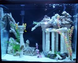 Seahorse Aquarium Set Up Well I Just Want Picture Of Everyones Tank Just So I Cool Fish Tanks Fish Tank Fish Aquarium Decorations